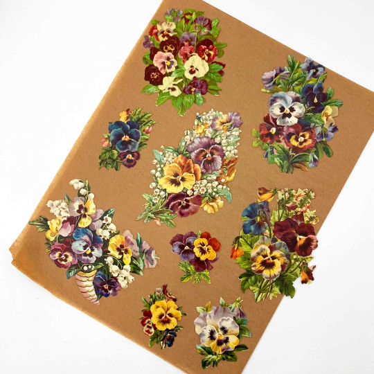 Beautiful Pansies Loose Flowers Paper Scrap Pack
